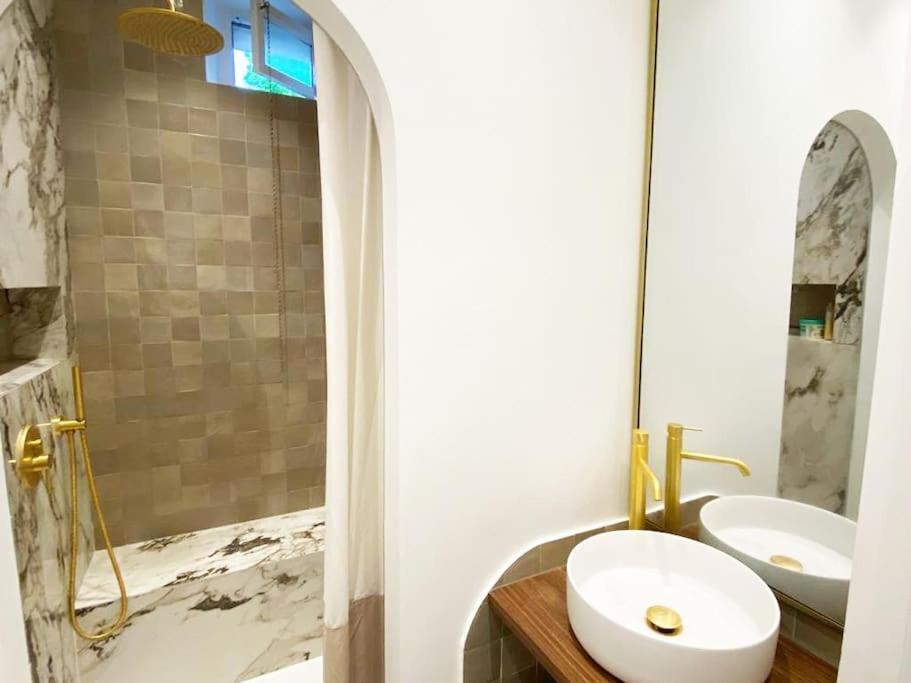 Le Petit Versailles - Appartement Centre 格勒诺布尔 外观 照片